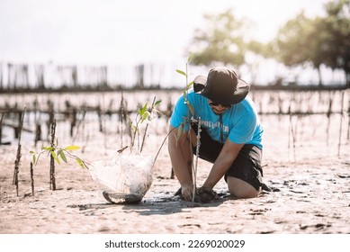 Asian man in blue t-shirt planting mangrove seedlings into mud area, Volunteering work outdoors activity in eco world environment day concept. - Powered by Shutterstock