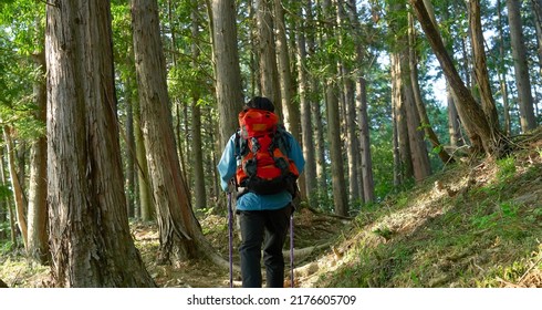 Asian Man Climbing A Mountain