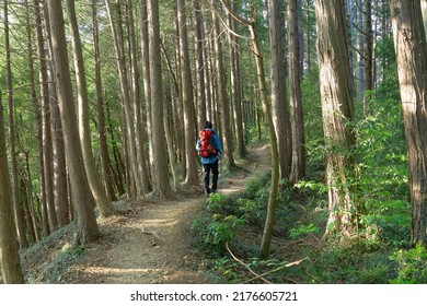 Asian Man Climbing A Mountain