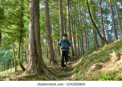 Asian Man Climbing A Mountain 