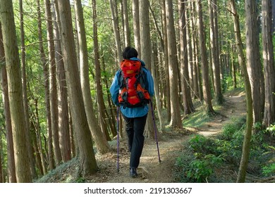 Asian Man Climbing A Mountain 