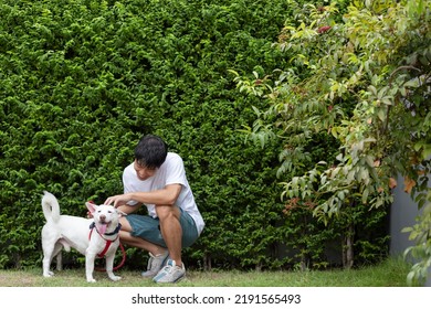 Asian Man And Dog Outdoors In The Park.