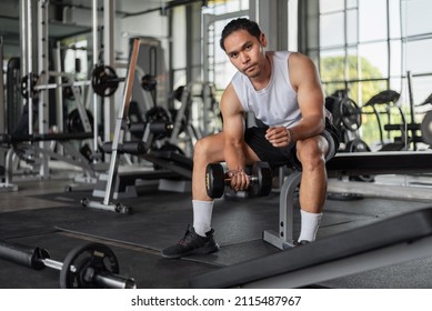 Asian Man Exercises In Fitness. Fit Man Doing Bicep Curl Exercises In Gym.