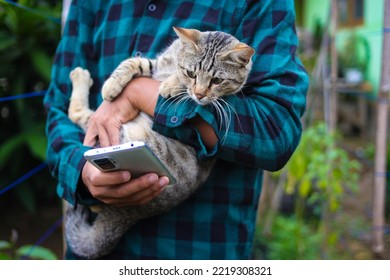 An Asian Man With Flannel Shirt Holding A Curious Stray Cat While Looking At His Phone.