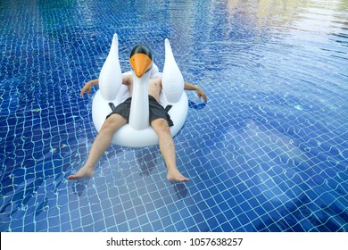 An Asian Man Floating On Blue Pool By Inflatable With Toy Rubber Swan. Relax And Chill Concept Idea For Summer Fun Usage.