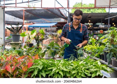 Asian man gardener caring ornamental plants and flowers in greenhouse garden. Male plant shop owner working and spraying water plants in store. Small business entrepreneur and plant caring concept - Powered by Shutterstock