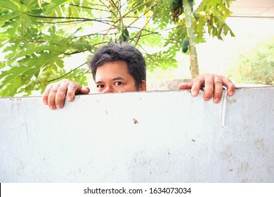 Asian man hiding cement wall papaya tree green backdrop, Copy space 