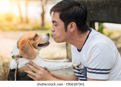 Hombre asiático adorable jugando al beso con su cachorro animal mascota, Beagle es un perro amistoso con el humano.