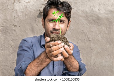 An Asian Man Is Offering A Tree Plant For Plantation Purpose  