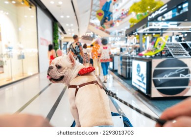 Asian man push his french bulldog in pet stroller walking in pets friendly shopping mall. Domestic dog and owner enjoy urban outdoor lifestyle travel city on summer vacation. Pet Humanization concept.
