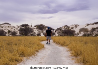 An Asian Man Walks Towards The Gypsum Sand Dunes On The Dune Life Nature Trail At White Sands National Park In New Mexico.