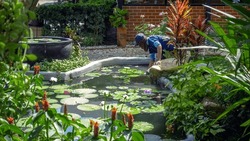 Asian Man Wear Cap Cleaning Garden Pond From Green Algae. Male Janitor Checking And Maintaining The Garden Pond Before Rainy Season. Gardener Man Worker Cleaning Water Pond Pool From Leaves In Garden.