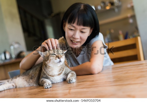 Asian Mature Woman Touch Her Cat People Stock Image