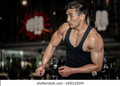 Asian Muscle Men