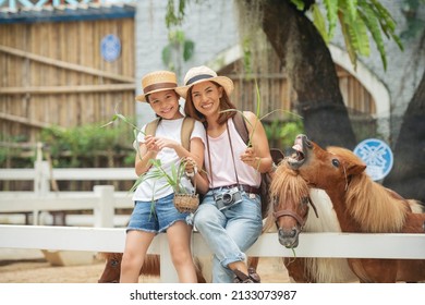 Asian Mother And Daughter Feeding Pony Horse At Animal Farm. Outdoor Fun For Kids. Child Feeds Animal At Pet Zoo. Dwarf Horses On The Farm. Happy Family Petting A Pony Through Wooden Fence.