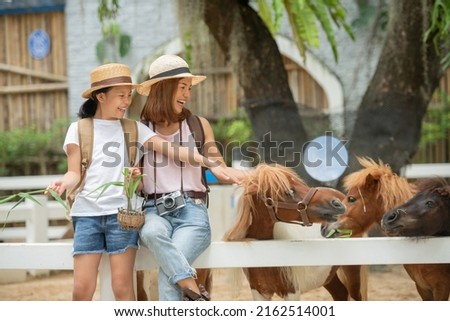 Asian mother and daughter feeding pony horse at animal farm. Outdoor fun for kids. Child feeds animal at pet zoo. Dwarf horses on the farm. Happy family petting a pony through wooden fence.