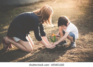 Asian Mother And Son Planting Young Tree In Black Soil Together