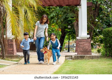 Asian Mother And Two Kids Walking Together With Shiba Inu Dog In Public Park. Happy Family With Pet