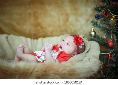 Asian Newborn Baby Girl Lying Down On A Basket In Christmas Costume