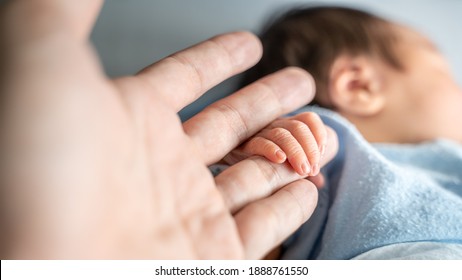 Asian Newborn Baby Holding Parent Hand Grab Finger. Concept Of Trust.