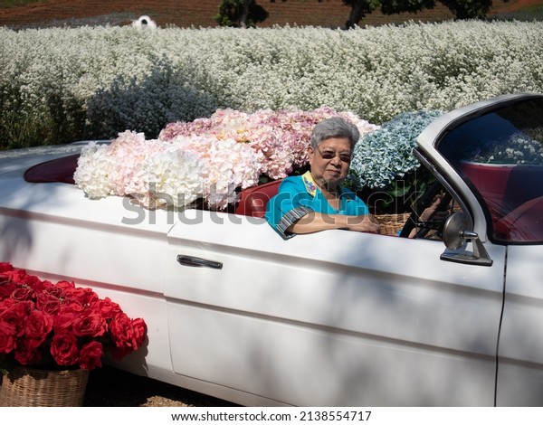 asian old elderly\
female elder woman senior riding retro classic car with hydrangea\
flower in cutter aster\
garden