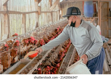 Asian old man was feeding chickens on his farm. Selective focus. Life on the farm - Powered by Shutterstock