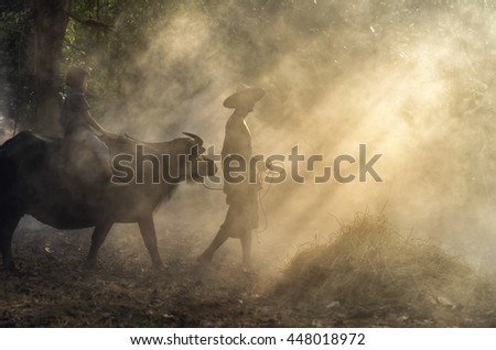 Asian old man walking with girl riding buffalo over the ray of sun background,worm color tone, Countryside Lifestyle concept