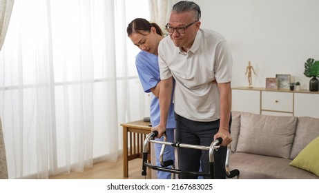 Asian Older Male Stroke Patient Practicing Using A Walker With The Assistance Of His Personal Care Attendant In The Living Room At Home