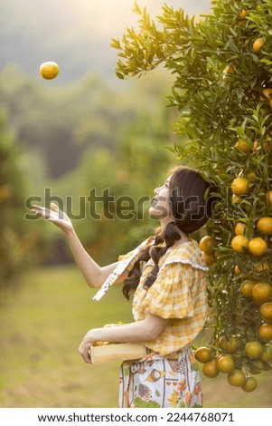 Similar – Apfelernte Äpfel Apfelbaum