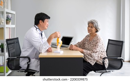 Asian Orthopedic Surgeon In White Gown And Stethoscope Use Human Bone Joint Anatomy Model, Present To The Elderly Patient About Total Knee Arthroplasty. Healthcare And Medicine Concept.