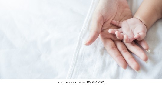 Asian parent hands holding newborn baby fingers, Close up mother's hand holding their new born baby. Love family day, healthcare and medical body part father's day concept panoramic banner - Shutterstock ID 1049865191