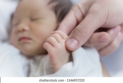 Asian Parent Hands Holding Newborn Baby Fingers, Closeup Mother’s Hand Holding Their New Born Baby.