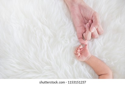 Asian parent hands holding newborn baby fingers, Closeup mother’s hand holding their new born baby day. Together love harmony peace family nursery healthcare and medical father’s day concept banner