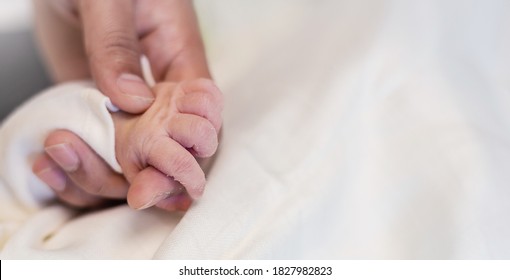 Asian Parent Hands Holding Newborn Baby Fingers, Close Up Mother's Hand Holding Their New Born Baby. Love Family Healthcare And Medical Body Part Father's Day Concept Panoramic Banner