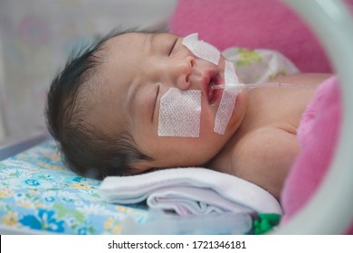 Asian Patient Newborn Baby In The Hospital Is Having A Medical Treatment In NICV After Received A Covid-19 Or Corona Virus.