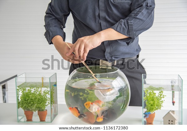 Asian People Happy Fun Decorate Aquarium Stock Photo Edit Now