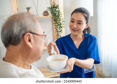 Asian Physician Nurse Support To Elderly Male Patient On Wheelchair. Caregiver Therapist Pharmacist Girl Serving And Feeding Food To Older Patient In Living Room At Home, Healthcare Medical Concept.