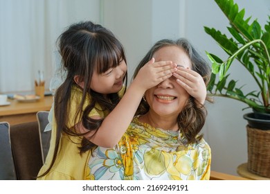 Asian Portrait, Grandma And Granddaughter Doing Leisure Activities And Hugging To Show Their Love And Care For Each Other