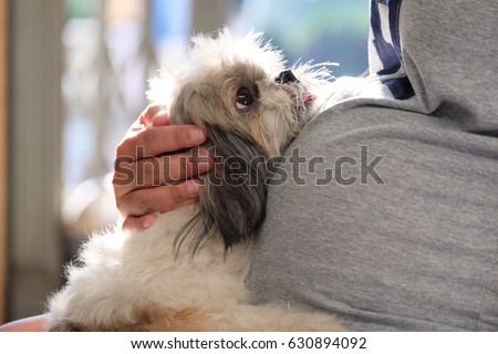 Asian pregnant woman holding a Shih Tzu dog