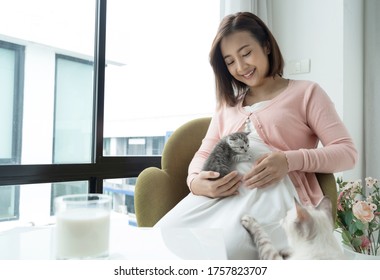 Asian Pregnant Woman Holds A Kitten On Her Stomach. And There Is A Mother Cat Near