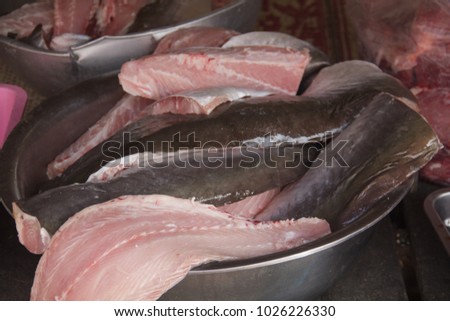 Asian catfish project commit Asian catfish project you tell