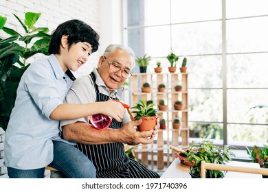 Asian Retirement Grandfather And His Grandson With Smiles, Spending Quality Time Together By Enjoy Taking Care Of Plants By Spraying Water In An Indoor Garden. Family Bonding Between Old And Young.