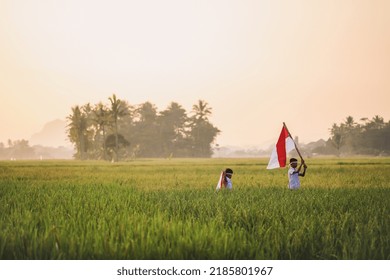 Asian School Boys Wearing Uniform Are Raising Flag In The Midst Of The Rice Field Celebrating Independence Day Against Sunrise Moment Background. 