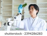 Asian scientist observing plant leaves. Biology. Bio technology.