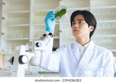 Asian scientist observing plant leaves. Biology. Bio technology. - Powered by Shutterstock