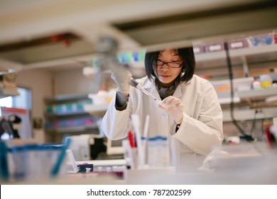 Asian Scientist Pipetting at a Biomedical Laboratory