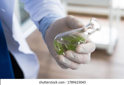 asian scientist wearing gloves doing experiment on plant to make new drug and skin care in biotechnology lab. science and development concept