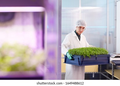 3,105 Lab asian color Images, Stock Photos & Vectors | Shutterstock