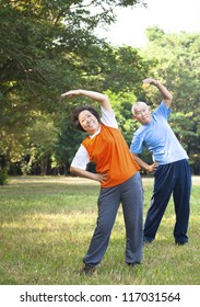 Asian Senior Couple In The Park