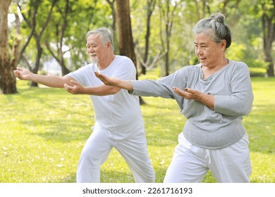 Asian senior couple practice yoga excercise, tai chi tranining, stretching and meditation together with relaxation for healthy in park outdoor after retirement. Happy elderly outdoor lifestyle concept - Powered by Shutterstock